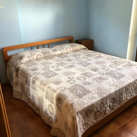 Abete Bianco